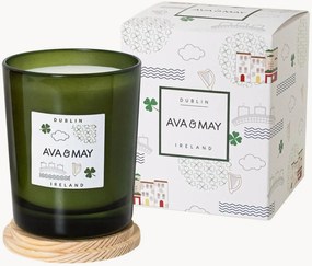 Vela perfumada artesanal Dublin (cardamomo, patchouli, cipreste)