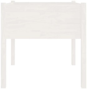 Vaso de jardim 70x70x70 cm madeira de pinho maciça branco