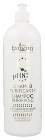Champô Purificant Exitenn (1000 ml) (1 L)