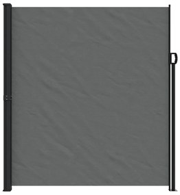 Toldo lateral retrátil 220x600 cm antracite