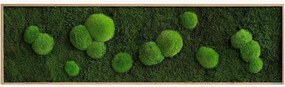 Quadro emoldurado artesanal com musgo Forest & Ball Wild