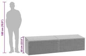 Caixa de arrumação para jardim 220x50x58 cm vime PE Bege