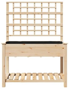 Plantador de Jardim vidaXL com Treliça e Estante 115x59x152 cm de Made