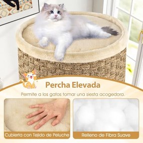 Cama para gatos de 3 andares multinível de 70 cm com arranhador de sisal Cama acolchoada para sestas Torre em forma de árvore Castanho