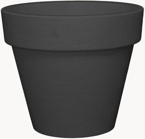 Vaso Liscio