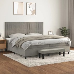 vidaXL Cama com molas/colchão 200x200 cm veludo cinzento-claro