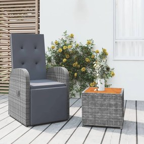 vidaXL 2 pcs conjunto lounge de jardim vime PE/acácia maciça cinzento