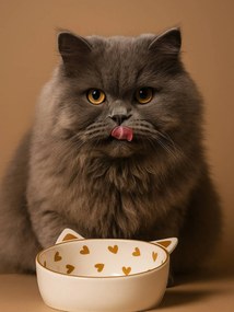 Lote de 2 gamelas em cerâmica Family, para gato branco estampado