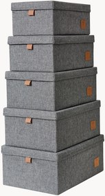 Caixas de arrumação com tampas Premium, conjunto de 5