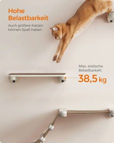 Arranhador para Gatos e Conjunto de 5 paredes de escalada Oasis para gatos Castanho