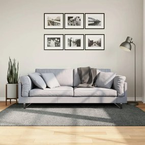 Tapete shaggy de pelo alto PAMPLONA 140x200 cm verde