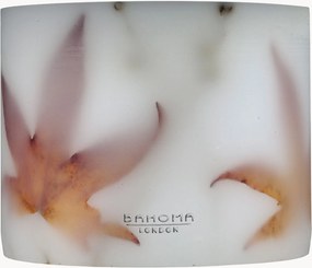 Vela perfumada Botanical (canela, pimenta em grão)