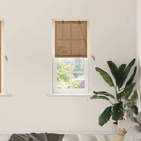 vidaXL Persianas e Sombras de Janela Marrom Claro 60 x 160 cm Bambu