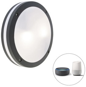 LED Candeeiro de Parede e Teto Inteligente Cinza Escuro com Wi-Fi A60 - Glow Moderno