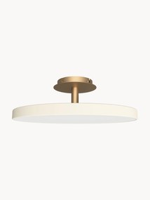 Dimmable LED Ceiling Lamp Asteria, Various Sizes