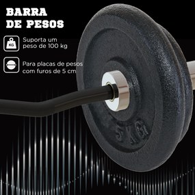 Barra de Pesos de Aço 120 cm Barra Curl EZ Ø50 mm com 2 Grampos Carga 100 kg Barra Olimpica para Discos de Ø5 cm Prata e Preto