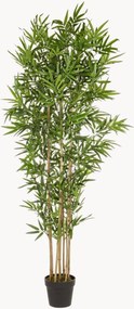 Plantas artificiais Bamboo II, conjunto de 2