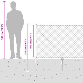 Cerca de Corrente com 7 Postes Espirais 1x10 m Aço Galvanizado