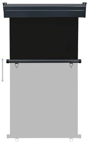 Toldo lateral para varanda 100x250 cm preto