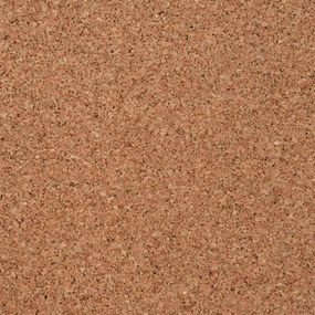 Rolo de cortiça 100x200 cm 8 mm
