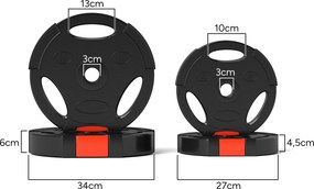 Conjunto de Discos de Pesos de 4 Peças Discos de Pesos 2x10 kg e 2x5 kg com Orifícios de 2,5 cm Preto