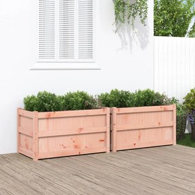 vidaXL Vasos/floreiras de jardim 2 pcs madeira de douglas maciça