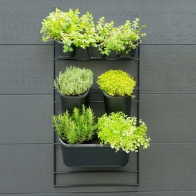 Kit de parede para jardim vertical