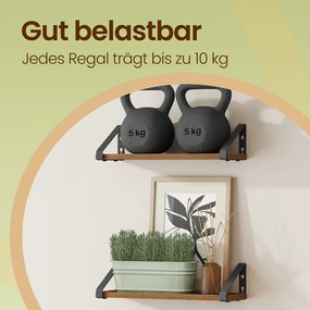 Conjunto de 2 prateleiras estante suspensa 12,7 x 40 x 11,2 cm castanho-preto