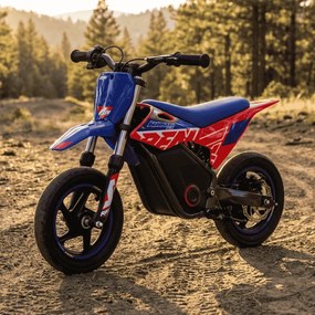 Mini moto elétrica para crianças Minicross electrica RFN Warrior SX-E250 Supermotard 250W 12/12" Até 25Km/hora cm limitador Azul/Vermelho