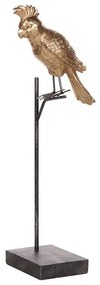 Estatueta decorativa dourada e preta COCKATOO Beliani