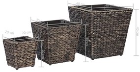 Vasos/floreiras 3 pcs jacinto de água castanho