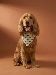 Bandana de algodão, para cão castanho estampado