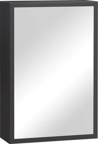 kleankin Armário espelhado, 3 prateleiras, dobradiças suaves, corpo em aço, preto, 40 x 15 x 60 cm | Aosom Portugal