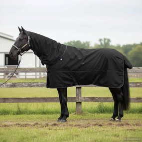 vidaXL Cobertor de Cavalo Verde Escuro e Preto 85 cm Poliéster