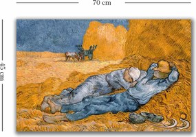 Tela Decorativa 4570VANGOGH062 – Multicolor – 45 x 70 cm