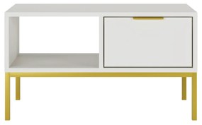 Mesa de Centro "AUSTIN" de 2 Gavetas - 45×100×60 cm - Branco e Dourado