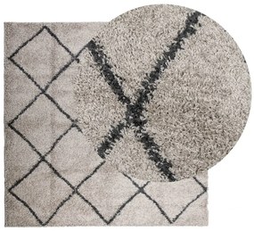 Tapete shaggy de pelo alto PAMPLONA 120x120 cm bege e antracite