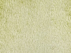 Conjunto de 2 almofadas decorativas verdes 45 x 45 cm PILEA Beliani