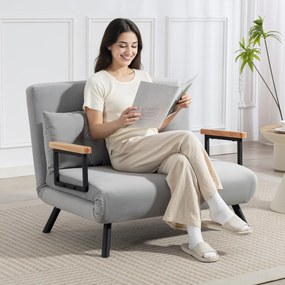 Sofá Cama Sofá Convertível em Cama de 2 Lugares Dobrável com Encosto Ajustável em 5 Níveis e 2 Almofadas 102x73x81 cm Cinza