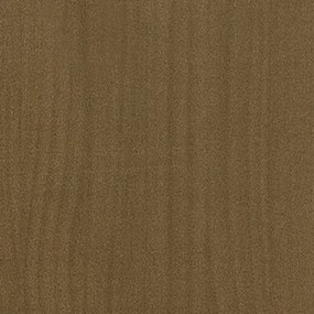 Estante/divisória 40x30x167,5 cm pinho maciço castanho mel