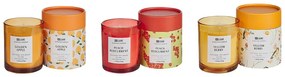 Conjunto de 3 velas perfumadas de cera de soja pêssego/fisális/maçã dourada COLORFUL BARREL Beliani