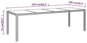 11 pcs conjunto de jantar para jardim vime PE castanho