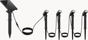 Candeeiros LED solares de estaca reguláveis Roundy, conjunto de 4