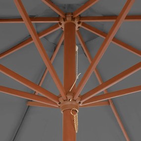 Guarda-sol de exterior com mastro de madeira 300 cm antracite