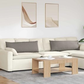 vidaXL Travesseiros de Sofá 2 pcs Cinzento-acastanhado 120 x 40 cm