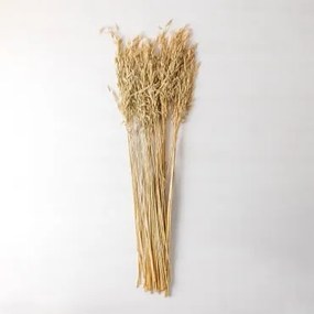 Ramo Decorativo Jayra Beige Creme - Sklum