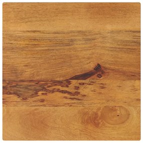 vidaXL Tampo de mesa quadrado 60x60x2,5 cm mangueira maciça