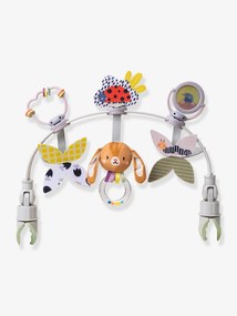 Arco evolutivo Jardim - TAF TOYS multicolor