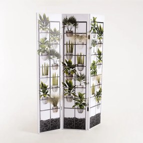 Biombo Plant