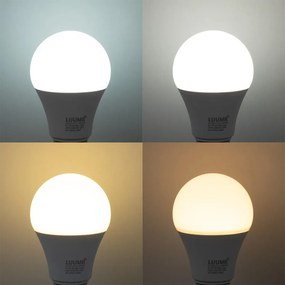 Lâmpada LED inteligente E27 regulável A60 9W 806 lm 2700K-6500K